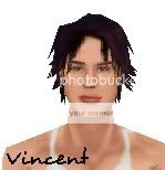 vin.jpg
